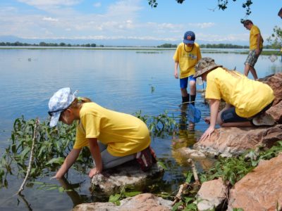 Young Ecologists Campers Collecting and Studying Macroinvertebrates in Barr Lake by Tyler Edmondson