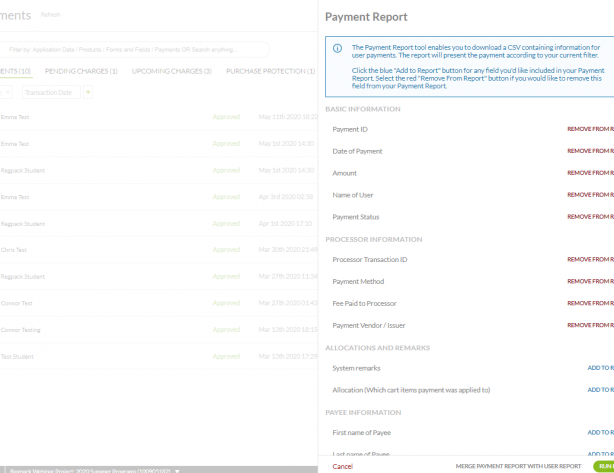 Preview of payment report in Regpack.
