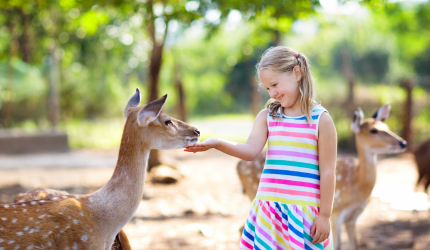 a young girl holding her hand out to pet a deer