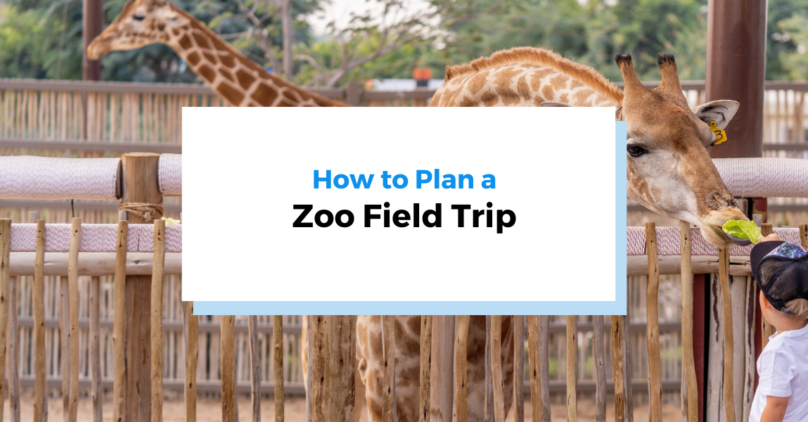 how to plan a zoo field header image